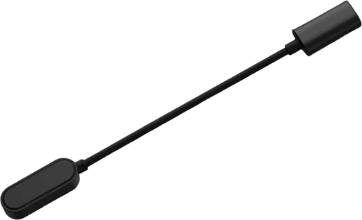 USB-C charger